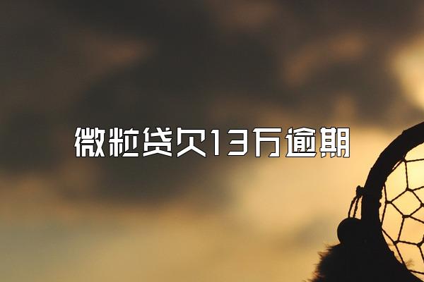 微粒贷欠13万逾期