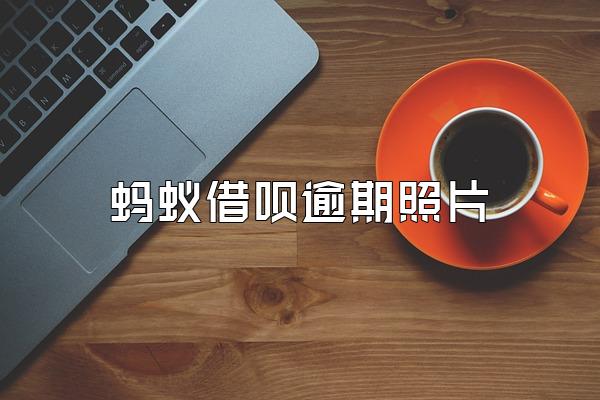 蚂蚁借呗逾期照片