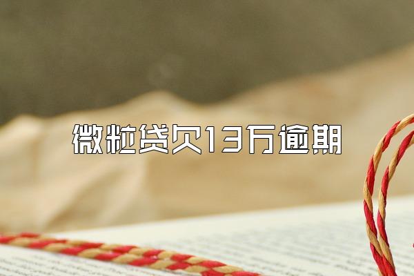 微粒贷欠13万逾期