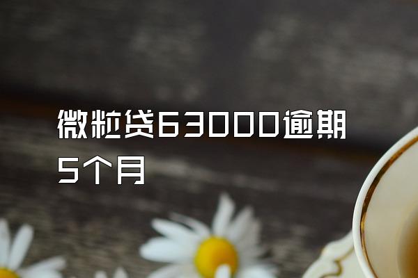 微粒贷63000逾期5个月