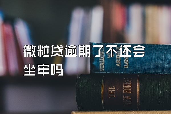 微粒贷逾期了不还会坐牢吗
