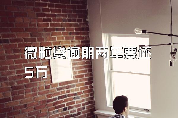 微粒贷逾期两年要还5万