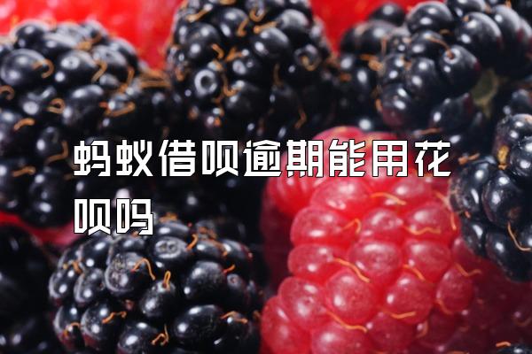 蚂蚁借呗逾期能用花呗吗