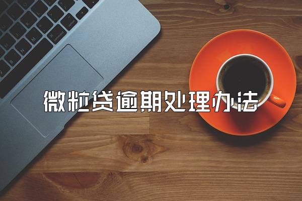 微粒贷逾期处理办法