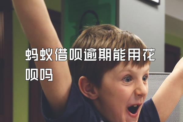 蚂蚁借呗逾期能用花呗吗