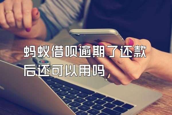 蚂蚁借呗逾期了还款后还可以用吗