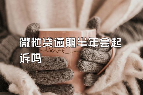 微粒贷逾期半年会起诉吗