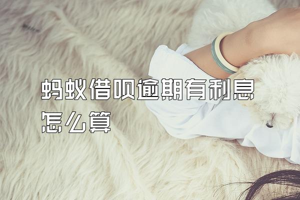 蚂蚁借呗逾期有利息怎么算