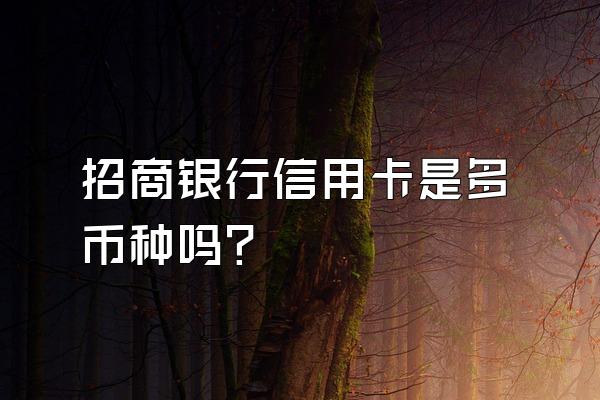 招商银行信用卡是多币种吗？