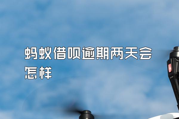 蚂蚁借呗逾期两天会怎样