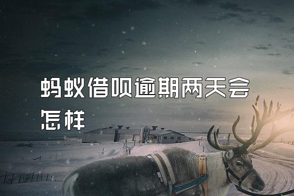 蚂蚁借呗逾期两天会怎样