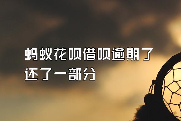 蚂蚁花呗借呗逾期了还了一部分