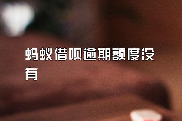 蚂蚁借呗逾期额度没有