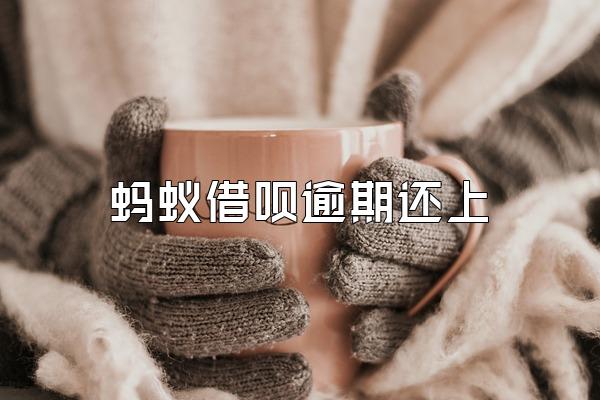 蚂蚁借呗逾期还上