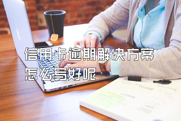 信用卡逾期解决方案怎么写好呢