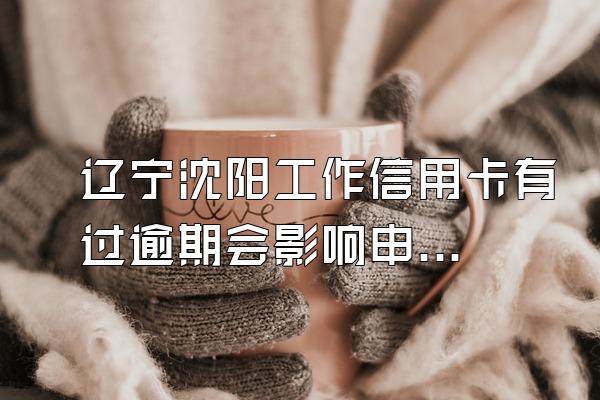 辽宁沈阳工作信用卡有过逾期会影响申请贷款吗？