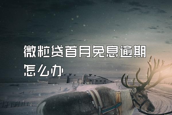 微粒贷首月免息逾期怎么办