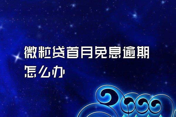 微粒贷首月免息逾期怎么办