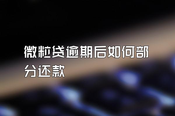 微粒贷逾期后如何部分还款