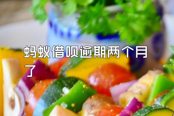 蚂蚁借呗逾期两个月了