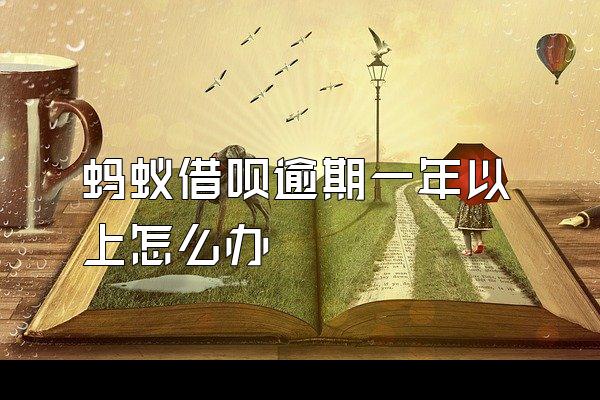 蚂蚁借呗逾期一年以上怎么办