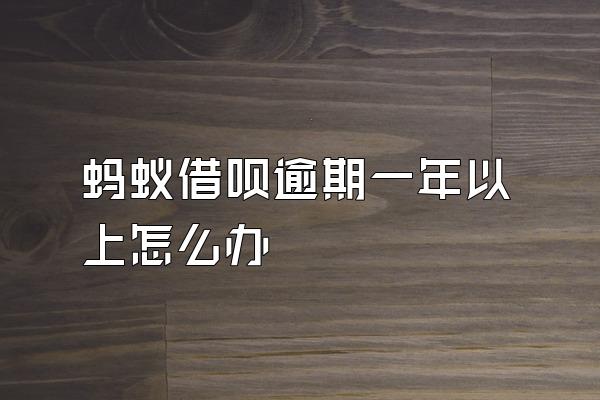 蚂蚁借呗逾期一年以上怎么办