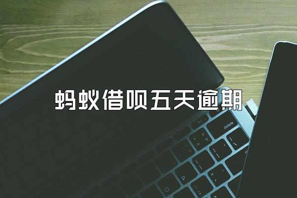 蚂蚁借呗五天逾期