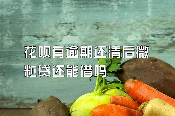 花呗有逾期还清后微粒贷还能借吗