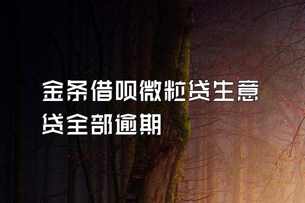 金条借呗微粒贷生意贷全部逾期