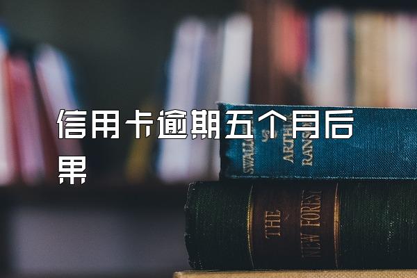 信用卡逾期五个月后果