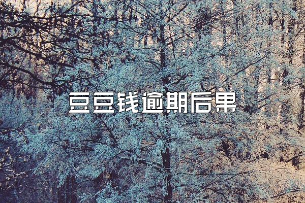 豆豆钱逾期后果