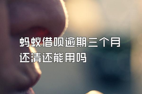 蚂蚁借呗逾期三个月还清还能用吗