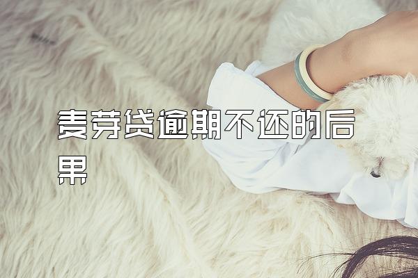 麦芽贷逾期不还的后果