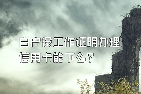 白户没工作证明办理信用卡能下么？