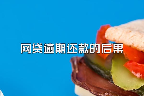 网贷逾期还款的后果