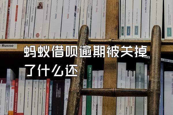 蚂蚁借呗逾期被关掉了什么还