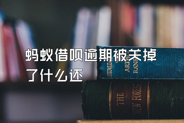 蚂蚁借呗逾期被关掉了什么还