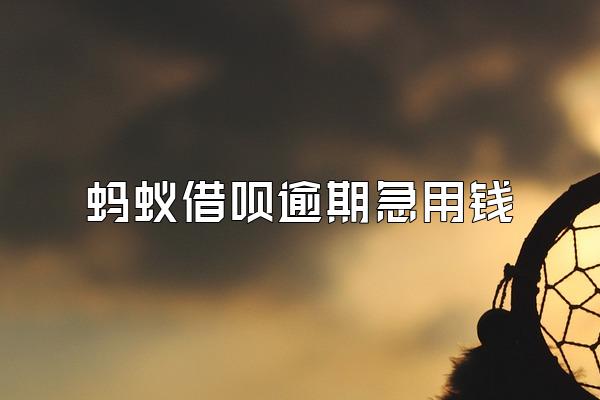 蚂蚁借呗逾期急用钱