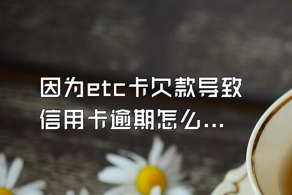 因为etc卡欠款导致信用卡逾期怎么办