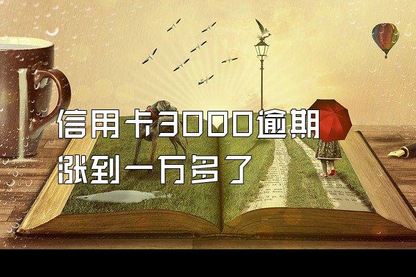 信用卡3000逾期涨到一万多了