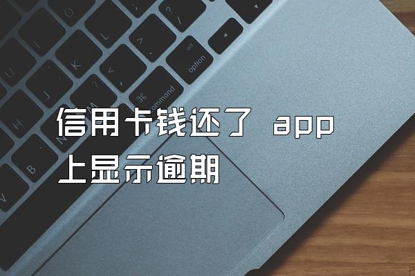 信用卡钱还了 app上显示逾期