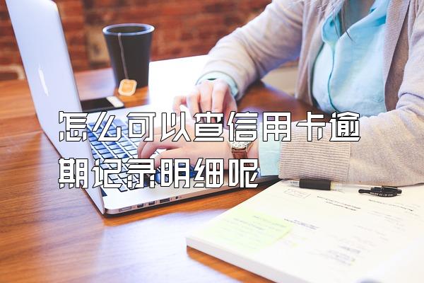 怎么可以查信用卡逾期记录明细呢