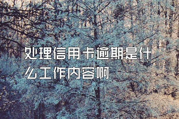 处理信用卡逾期是什么工作内容啊