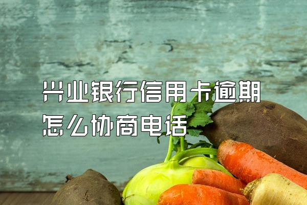 兴业银行信用卡逾期怎么协商电话