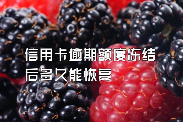 信用卡逾期额度冻结后多久能恢复
