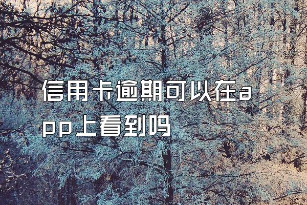 信用卡逾期可以在app上看到吗
