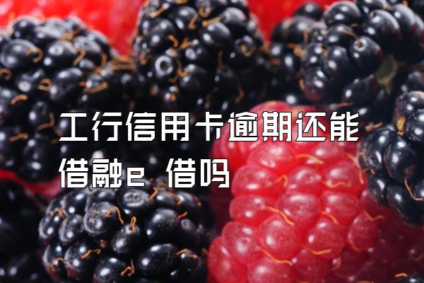 工行信用卡逾期还能借融e 借吗