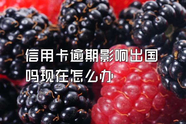 信用卡逾期影响出国吗现在怎么办