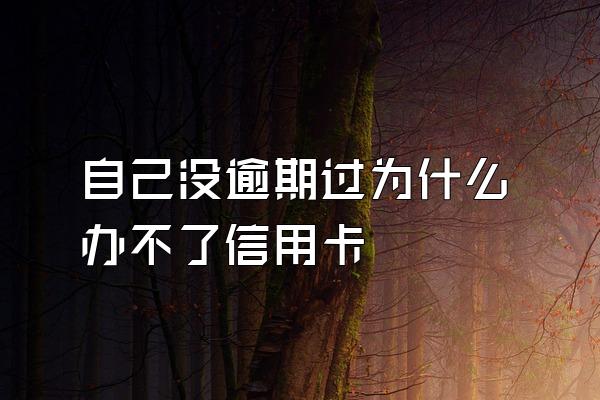 自己没逾期过为什么办不了信用卡