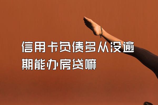 信用卡负债多从没逾期能办房贷嘛